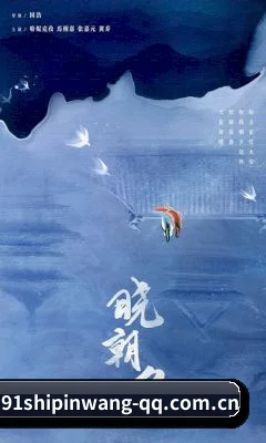 91视频网 APP